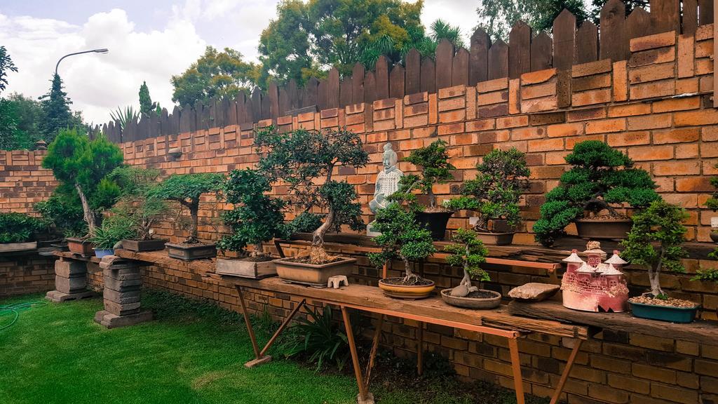 Aark Guest Lodge Vanderbijlpark Buitenkant foto